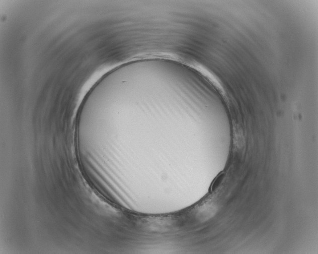 X0000072981102200608111735