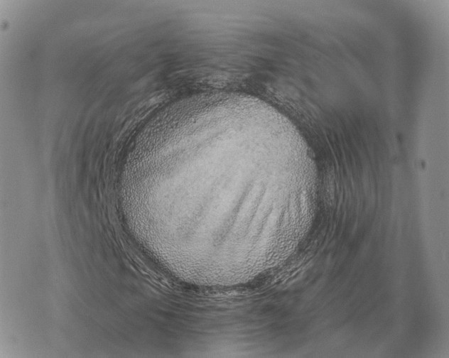 X0000072981105200608111734