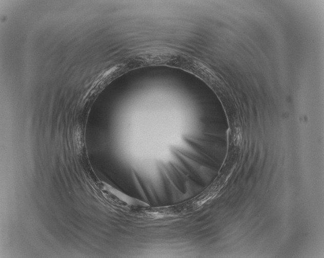 X0000072981108200608111734