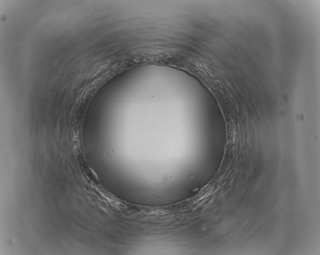 X0000072981109200608111734