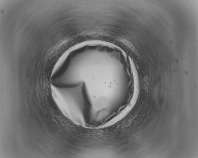 X0000072981111200608111734