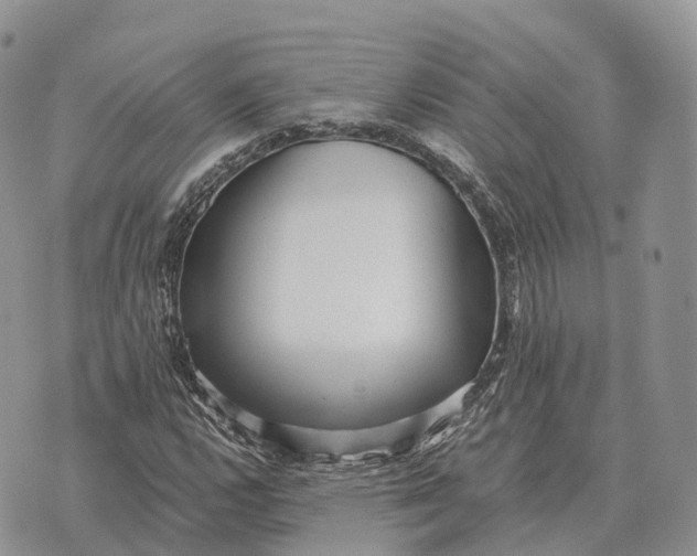 X0000072981112200608111734