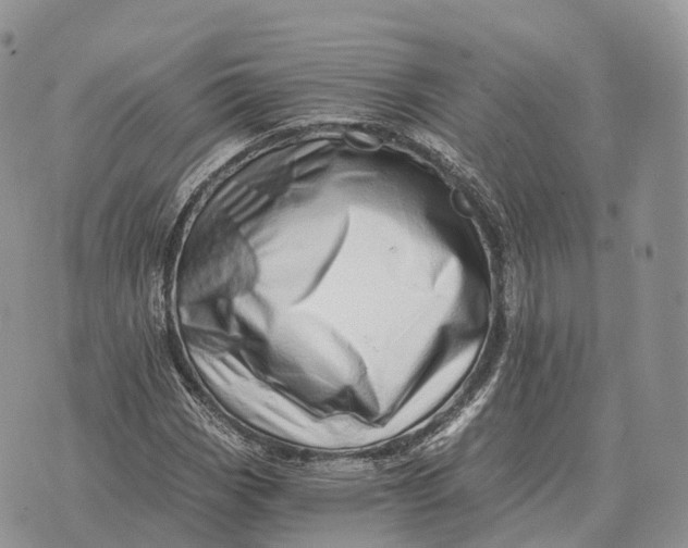 X0000072981113200608111734