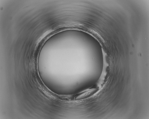 X0000072981114200608111734