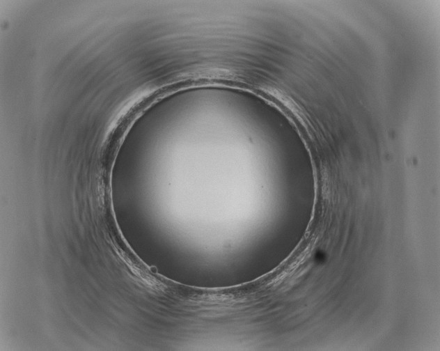 X0000072981115200608111734