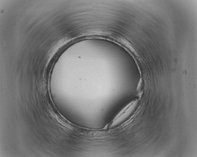 X0000072981116200608111734