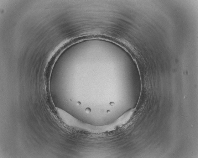 X0000072981118200608111734