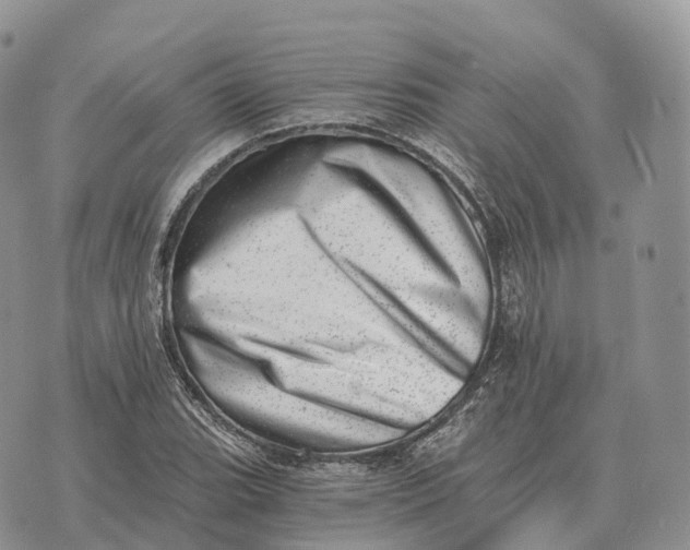 X0000072981119200608111734