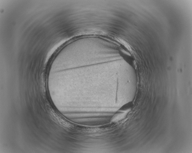 X0000072981120200608111734