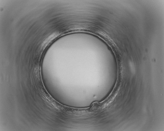 X0000072981121200608111734