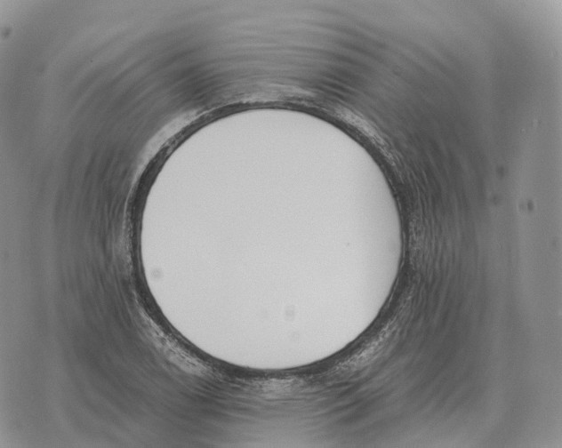 X0000072981122200608111734