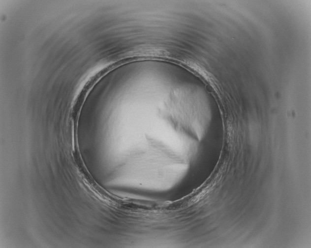 X0000072981123200608111734