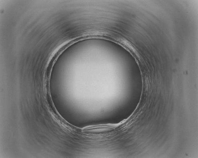 X0000072981124200608111734