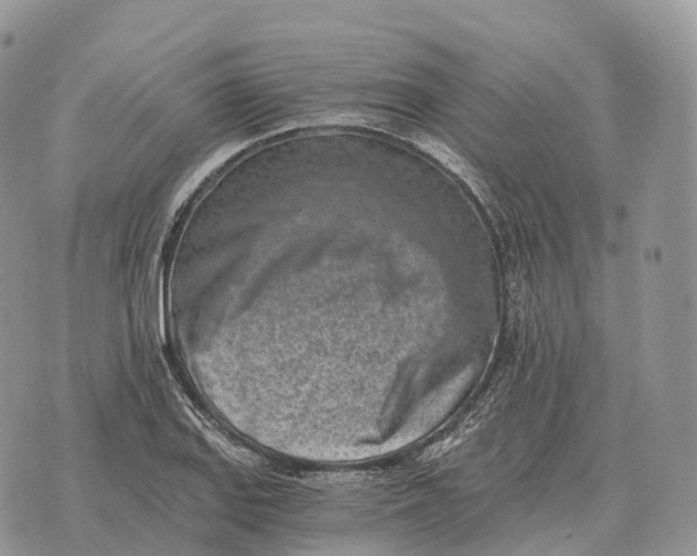 X0000072981127200608111735