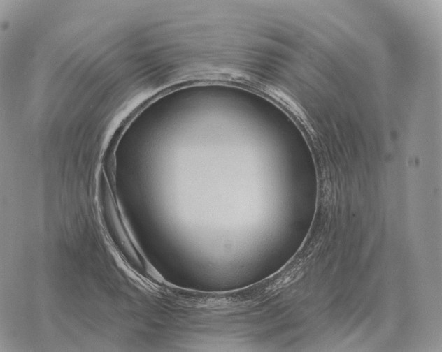 X0000072981128200608111735