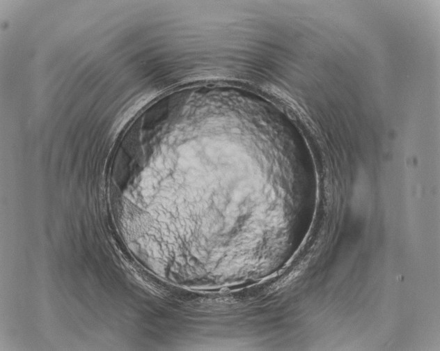 X0000072981129200608111735