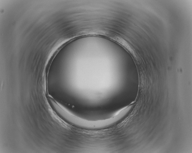 X0000072981132200608111735