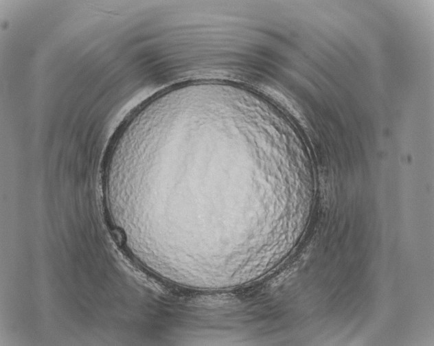 X0000072981133200608111735