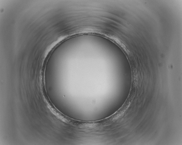 X0000072981134200608111735