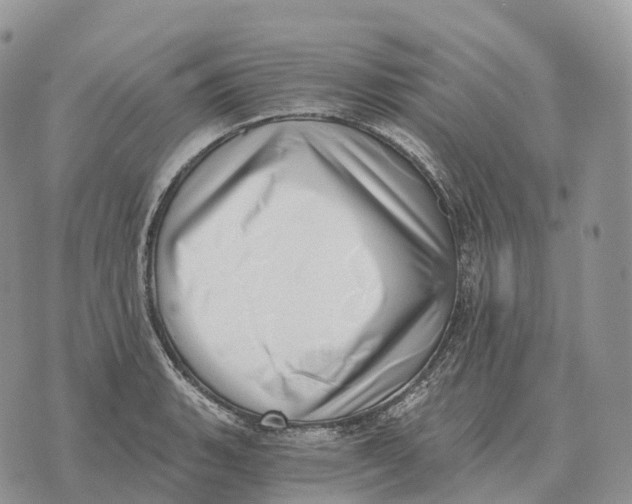 X0000072981135200608111735