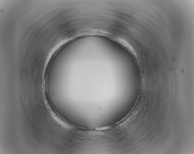 X0000072981136200608111735