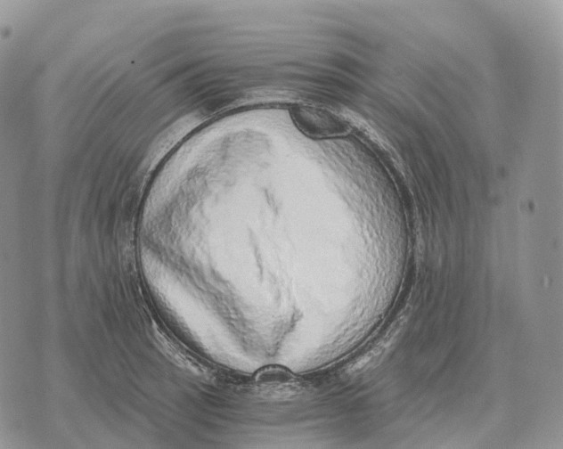 X0000072981137200608111735