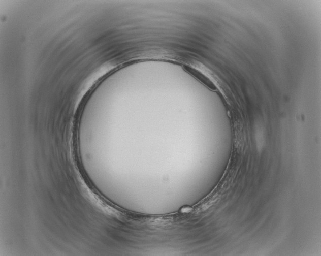 X0000072981139200608111735