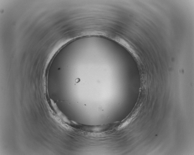 X0000072981140200608111735