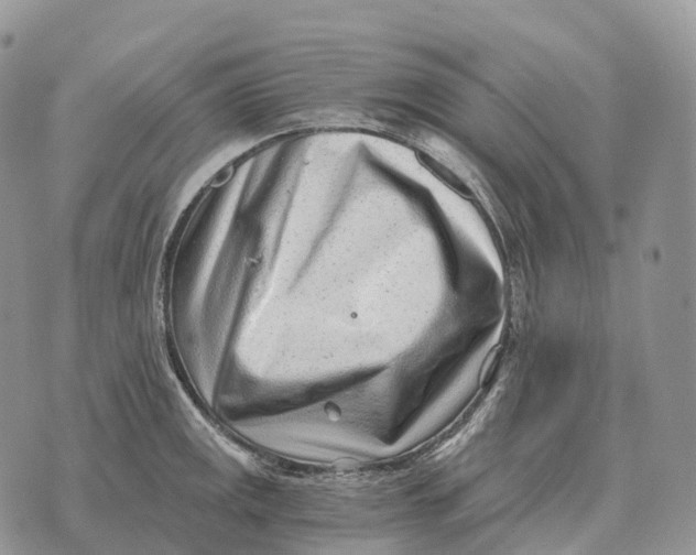 X0000072981141200608111735