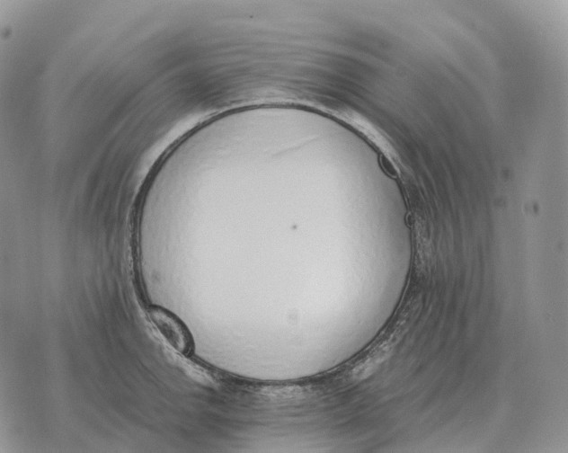 X0000072981142200608111735