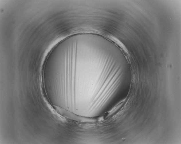 X0000072981144200608111735