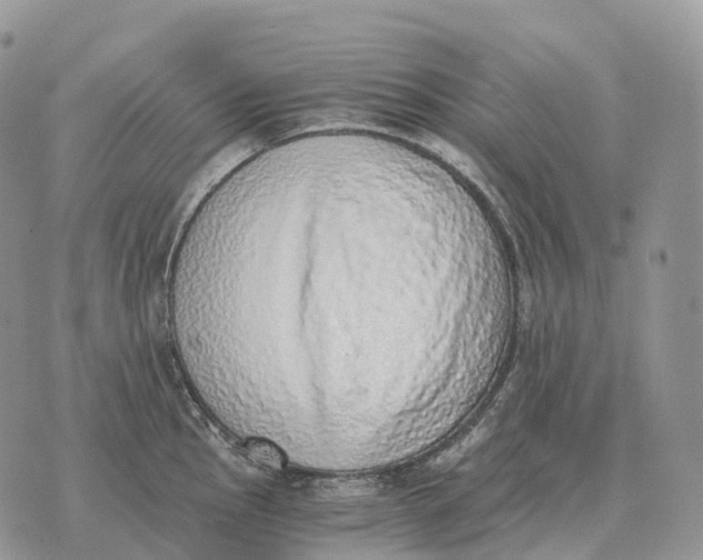 X0000072981145200608111735