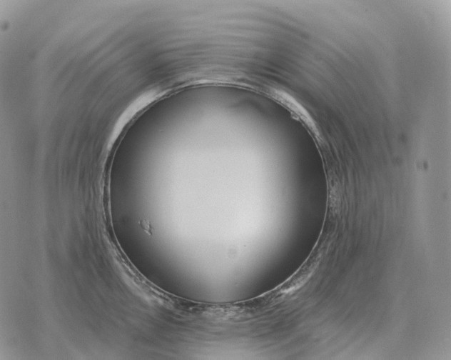 X0000072981146200608111735