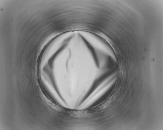 X0000072981147200608111735