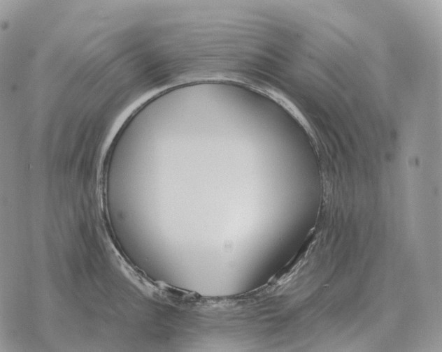 X0000072981148200608111735