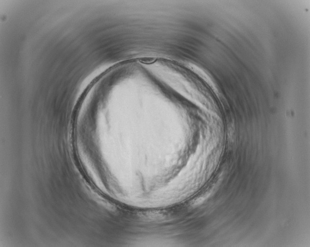 X0000072981149200608111735