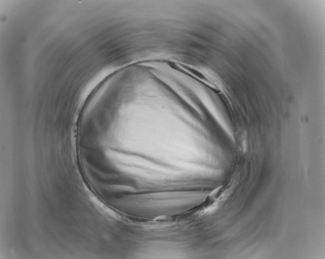 X0000072981151200608111735