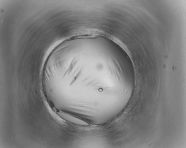 X0000072981152200608111735