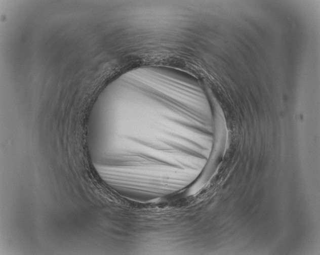 X0000072981153200608111734