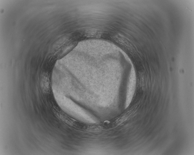 X0000072981154200608111734