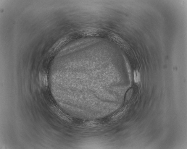 X0000072981155200608111734