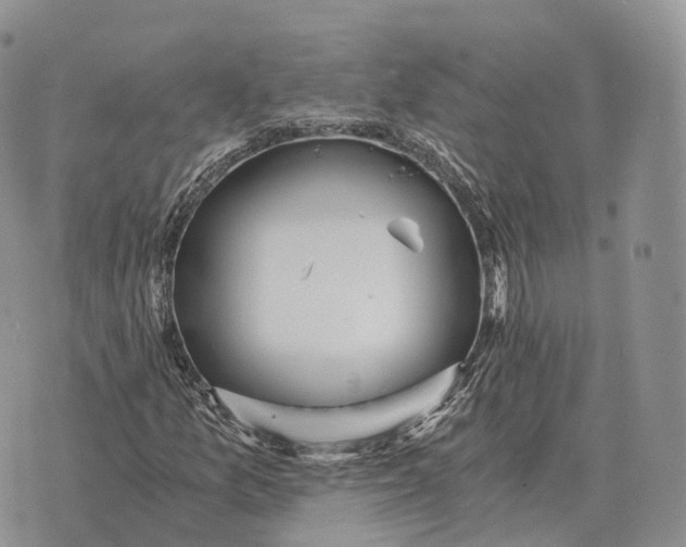 X0000072981157200608111734