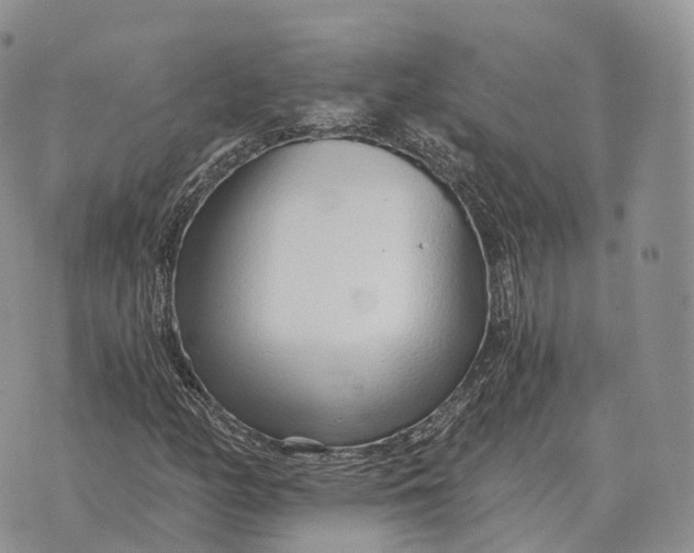 X0000072981158200608111734