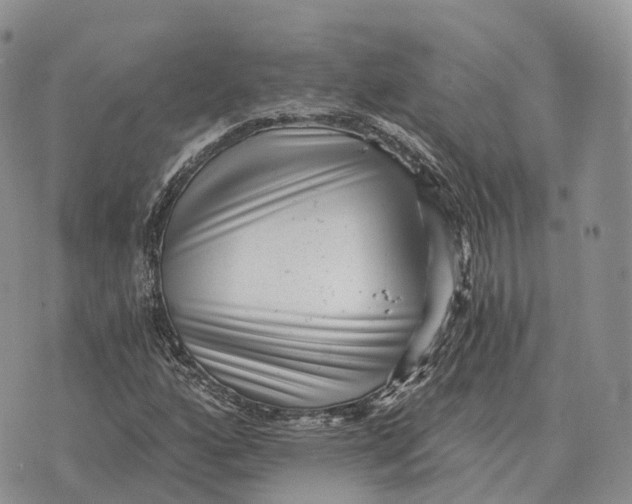 X0000072981160200608111734