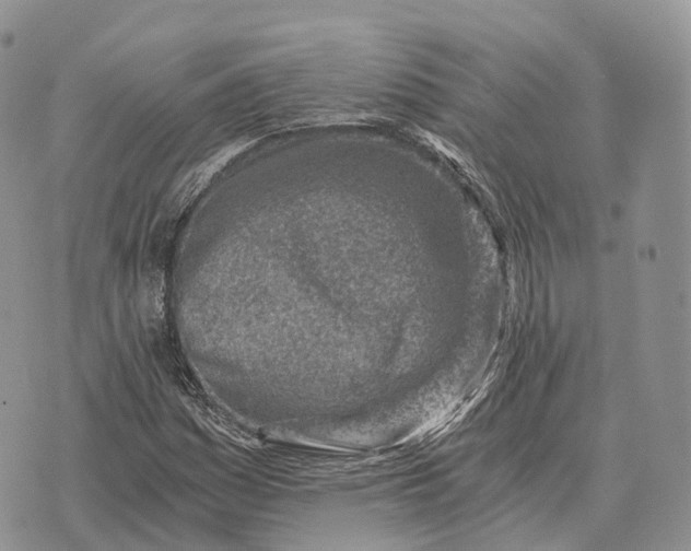 X0000072981161200608111734