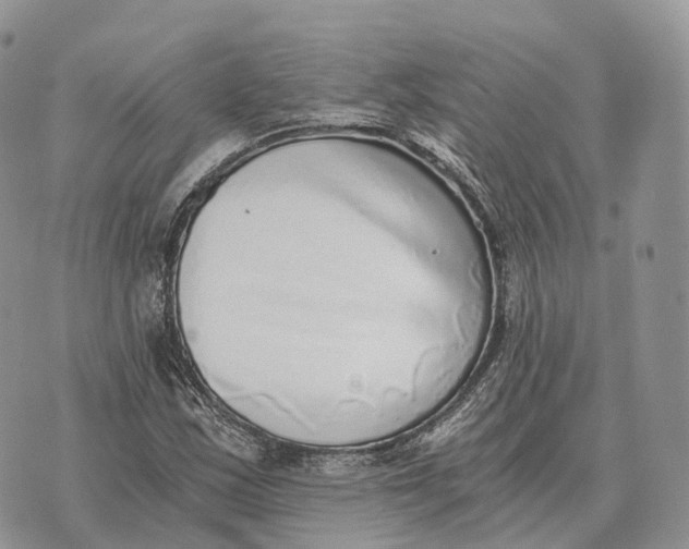 X0000072981163200608111734