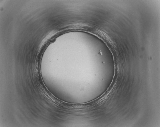 X0000072981164200608111734