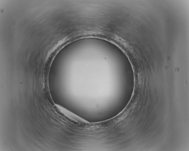 X0000072981165200608111734