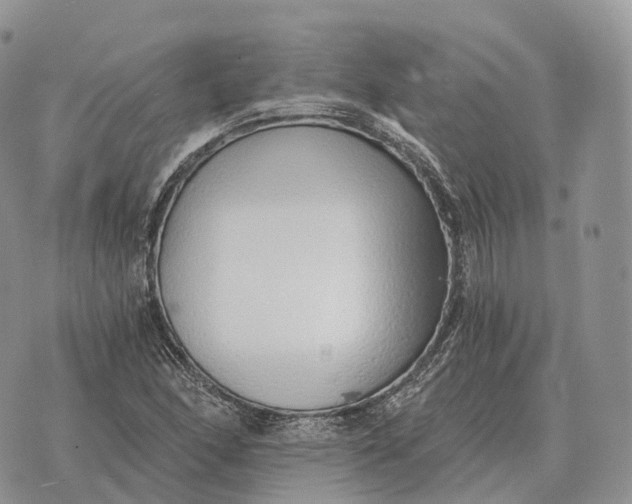 X0000072981166200608111734