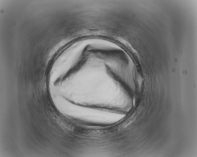 X0000072981167200608111734